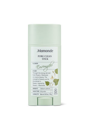 Picture of Mamonde Pore Clean Stick with Heartleaf 18G