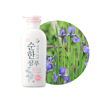 Picture of Ryo Derma Scalp Care Shampoo Oily 400ML